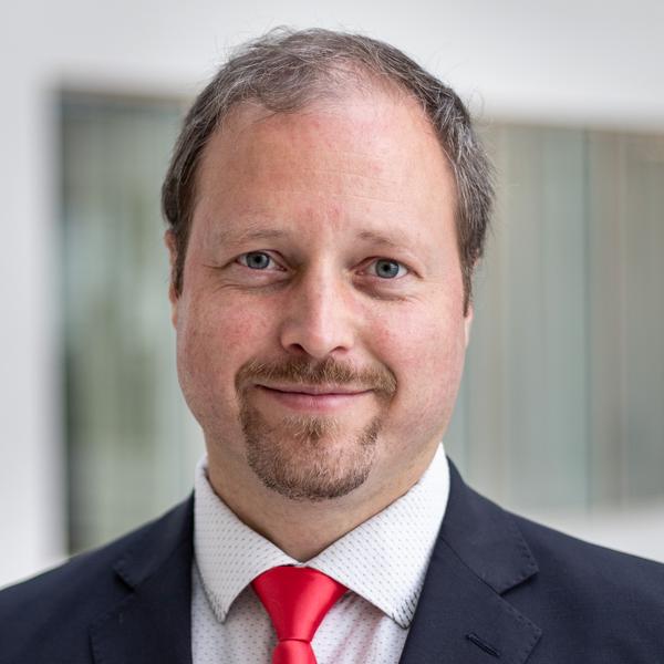 Petr Strnad, Deloitte