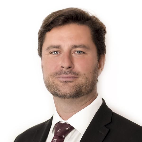 Pavel Vintr, bpv Braun Partners